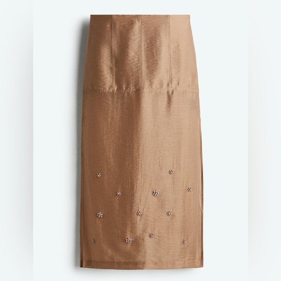 NWT H&M EMBELLISHED SHEER SKIRT - Picture 4 of 6